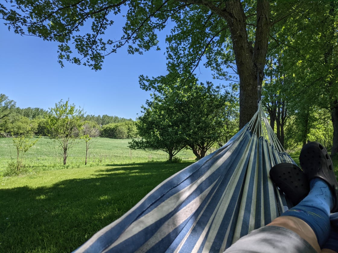 view from one of the two hammocks