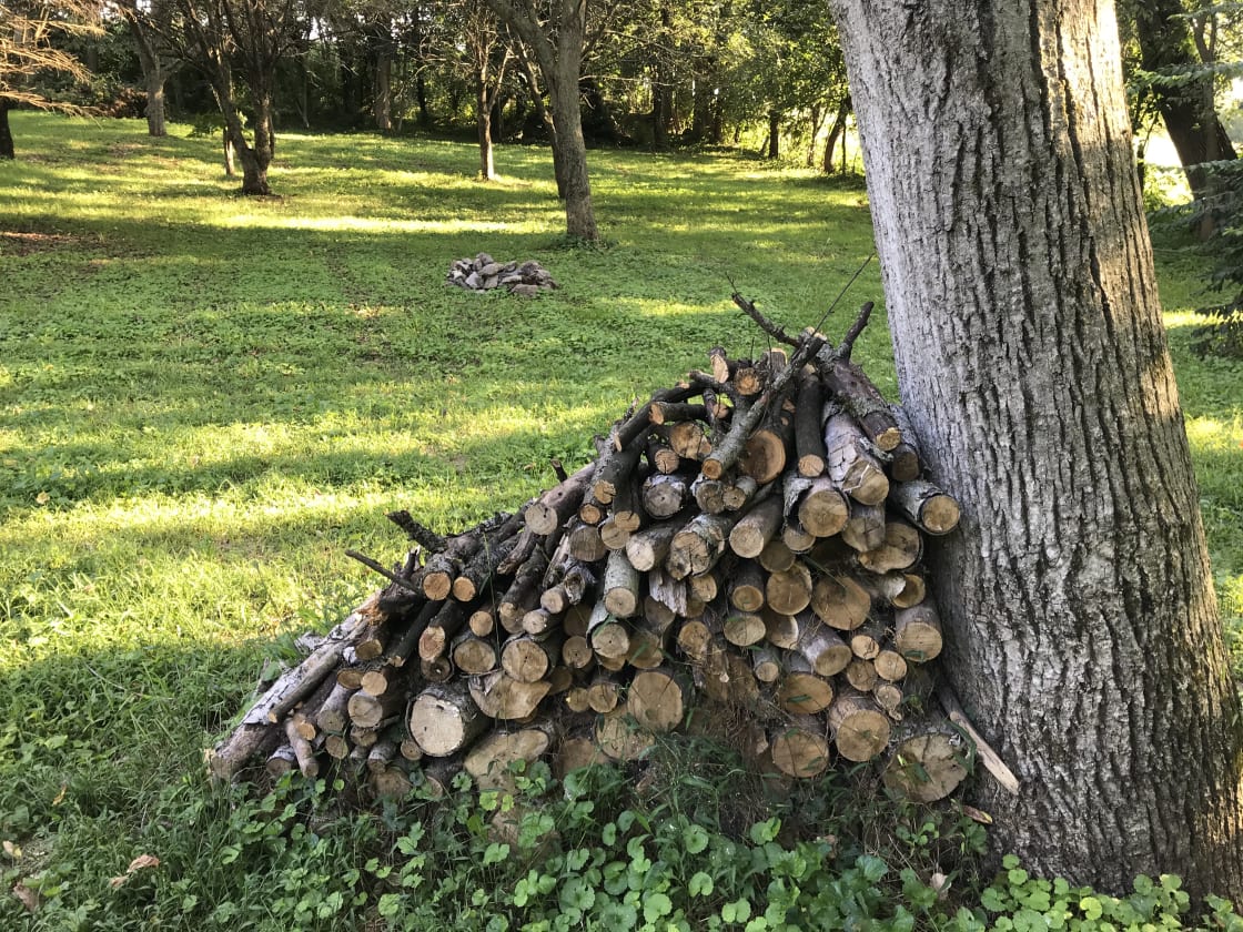 Lots of fire wood always stacked up and ready for a great camp fire beside your camp site