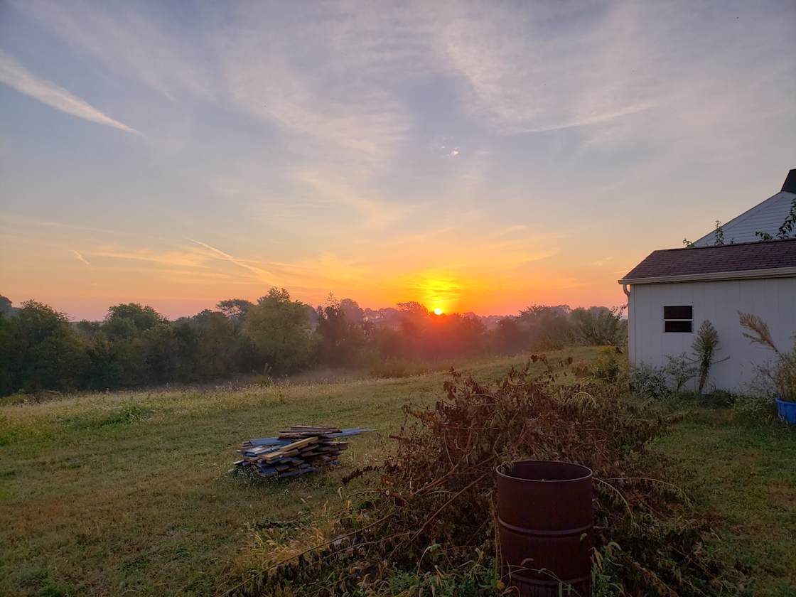Beautiful sunrise