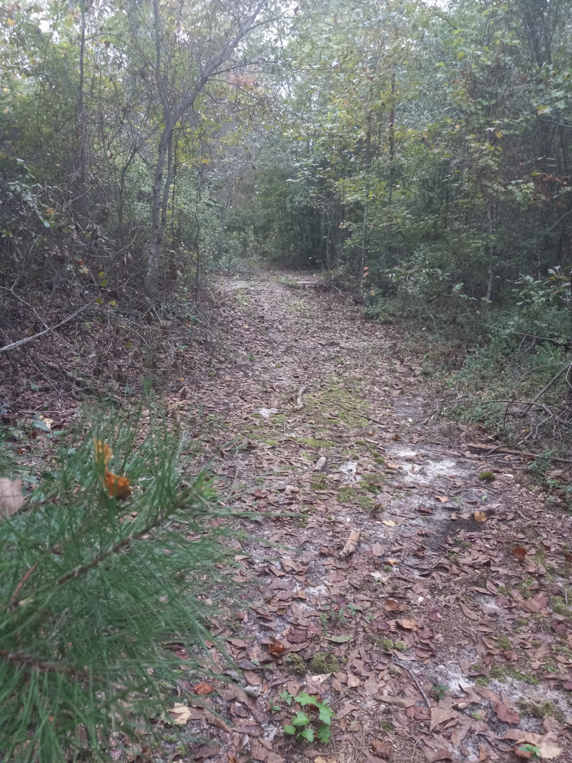 One of the many trails that we maintain.