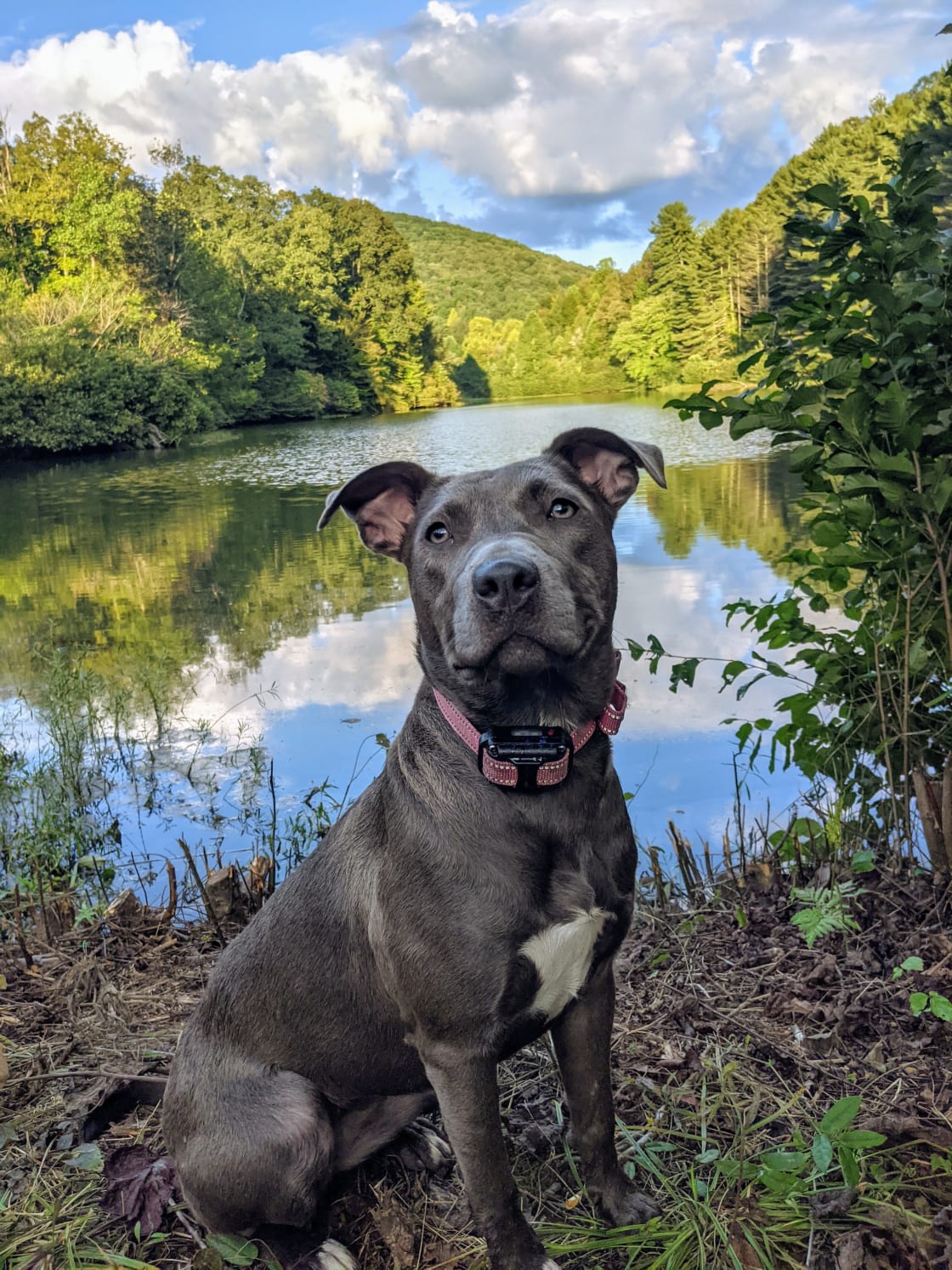 Zofifi approves! She had the best time exploring and fishing with me. 