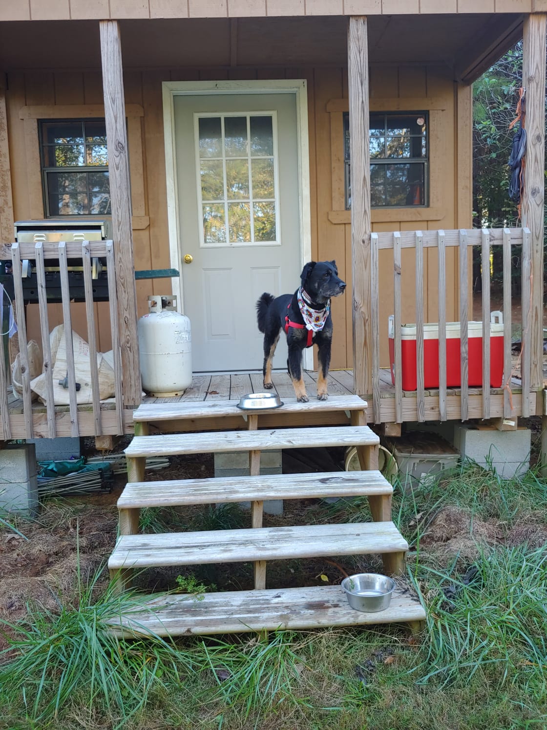 The cabin on the property. It's not for rent, but our dog Logan was a big fan of the deck.