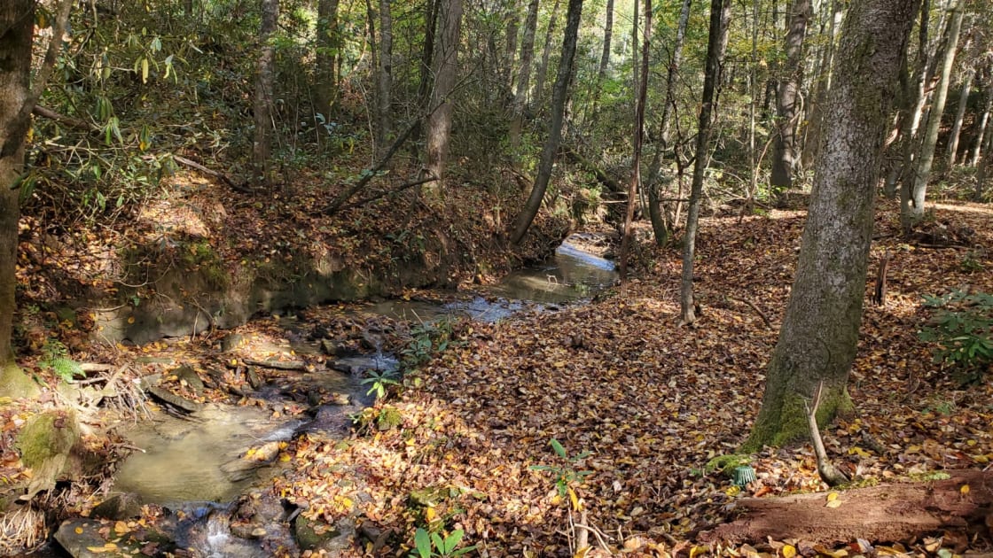 Creek runs throughout property.