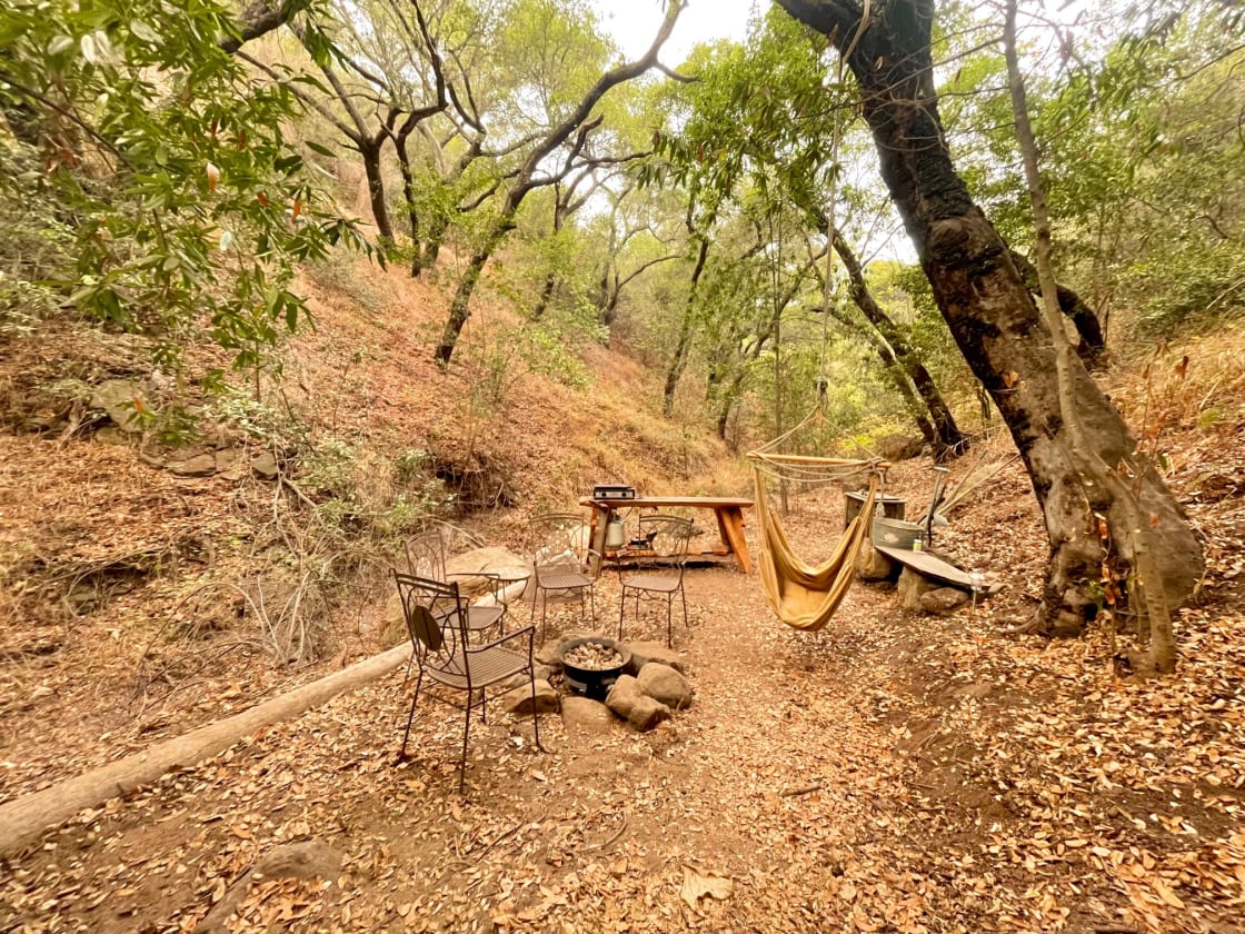 Cozy back yard with fire pit camp stove, drinking water, and swinging chair. 