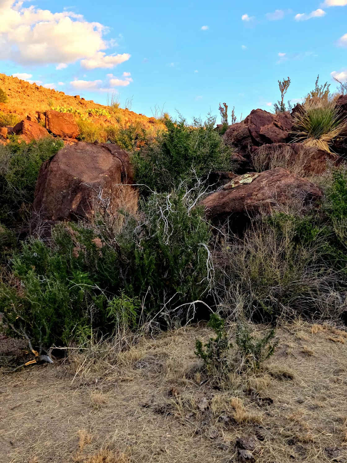 Rocks and More Rocks!