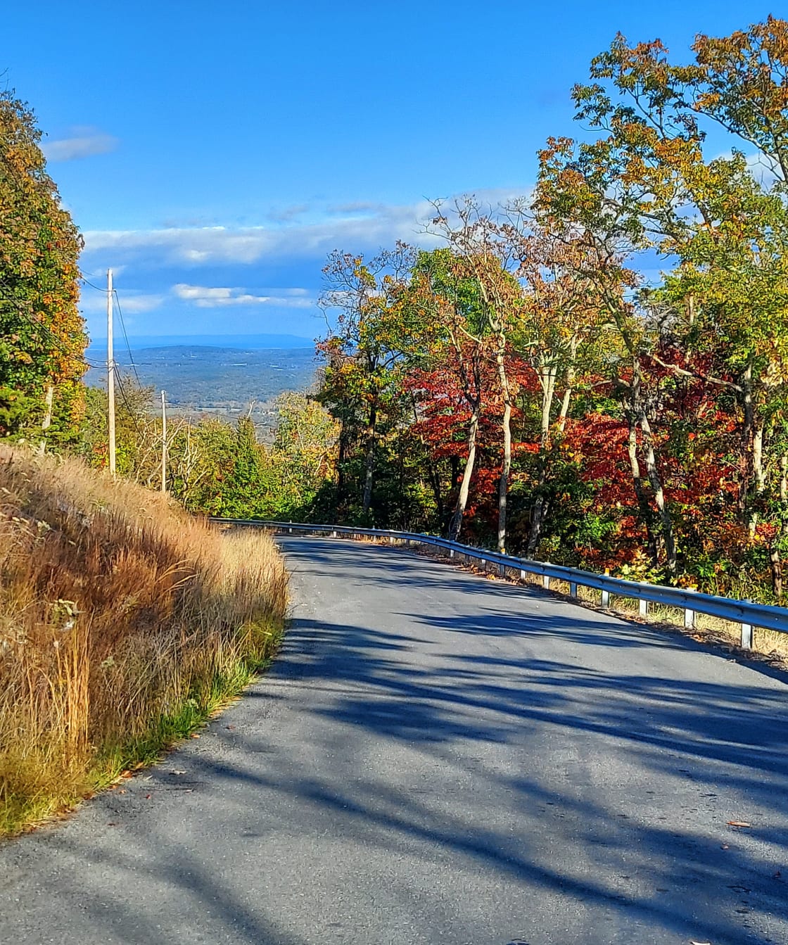 Fall foliage on road up the mountain with view to south of Shenandoah Valley.