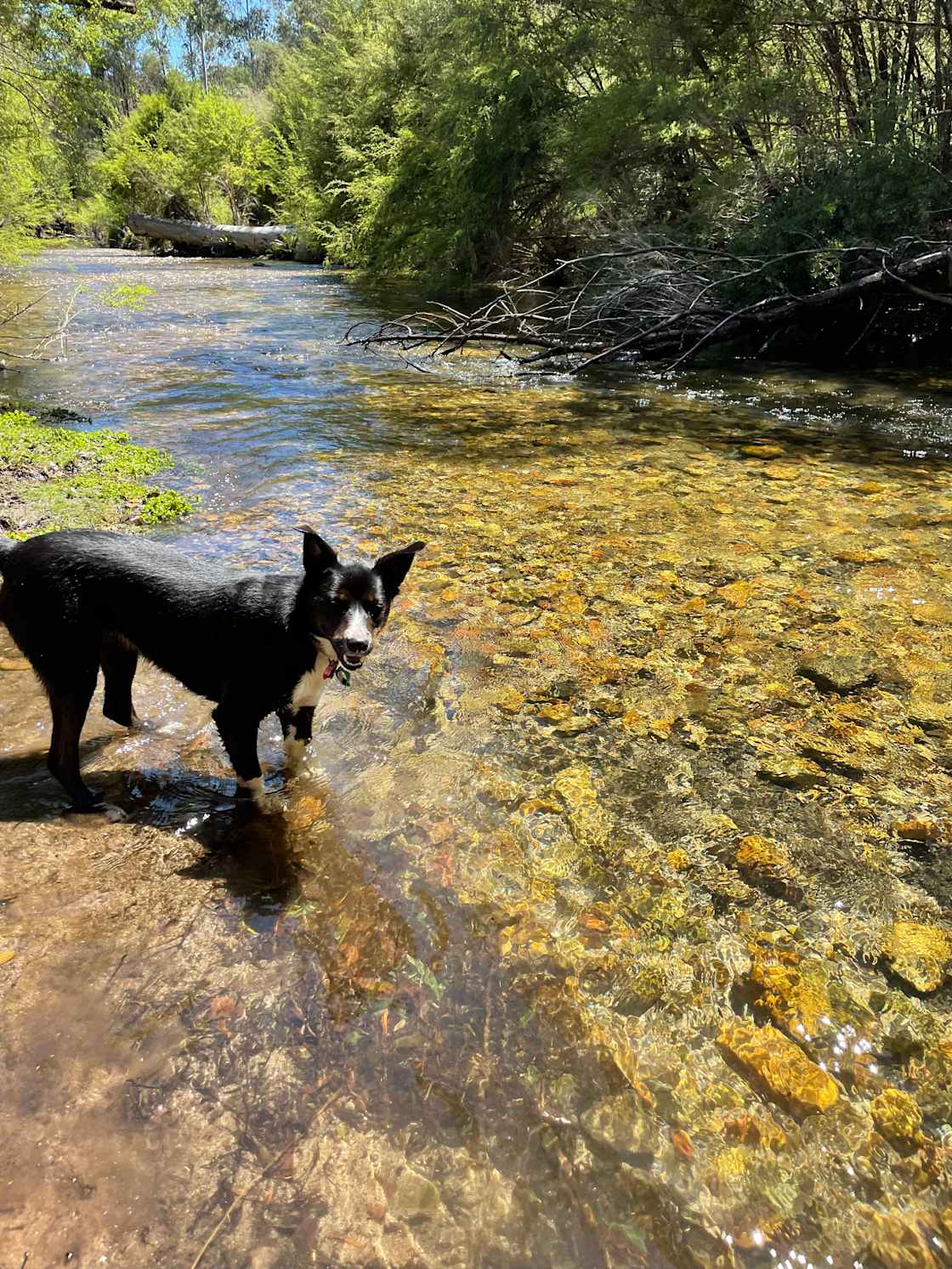 High Country Paradise