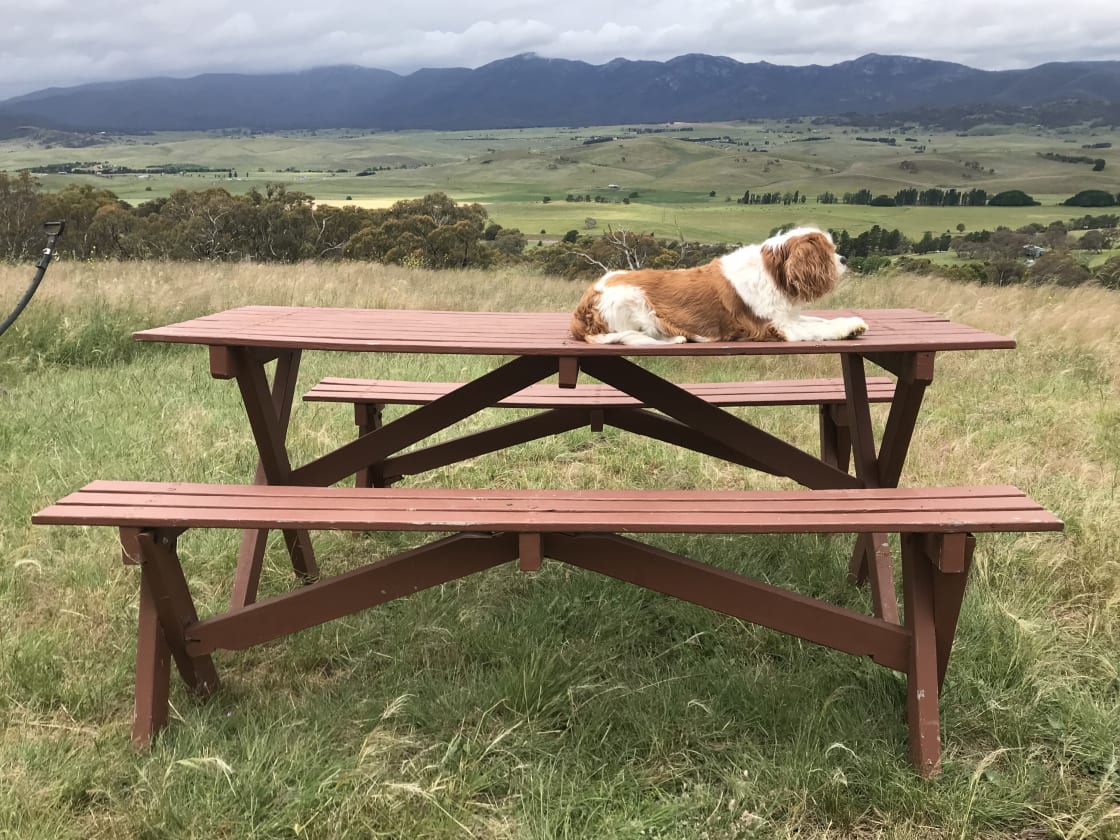 Rubycav taking in the view 