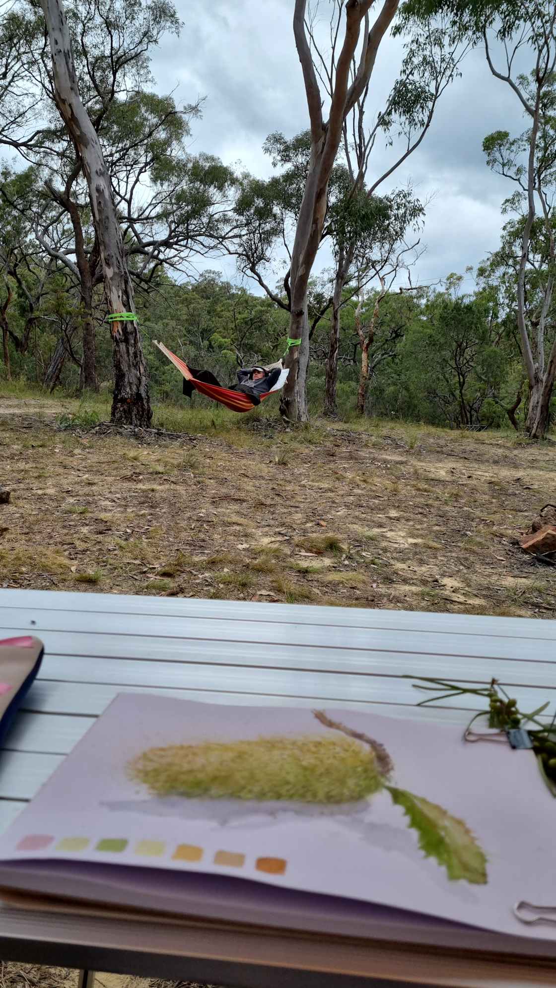 Jarrah Camping Area