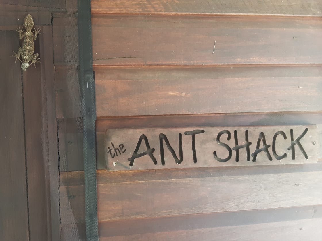 The Ant Shack