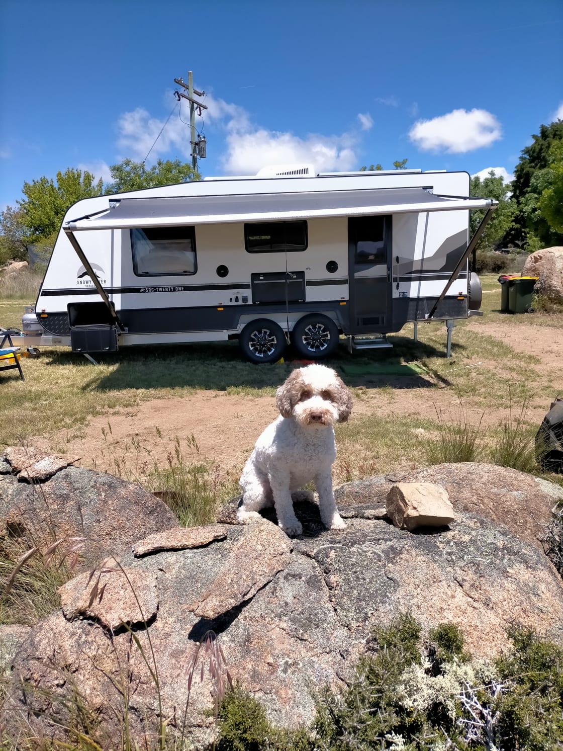 A dog friendly camp