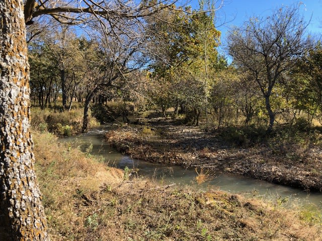 Little Cedar Creek--it may run dry in the summer and may flood in spring. 