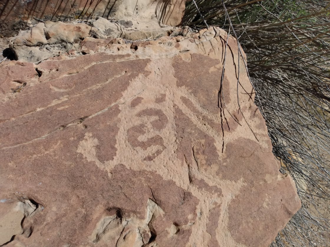 Many cool finds, from ancient petroglyphs to pot shards and arrowheads. Tours available.
This photo is 20 minutes from site.