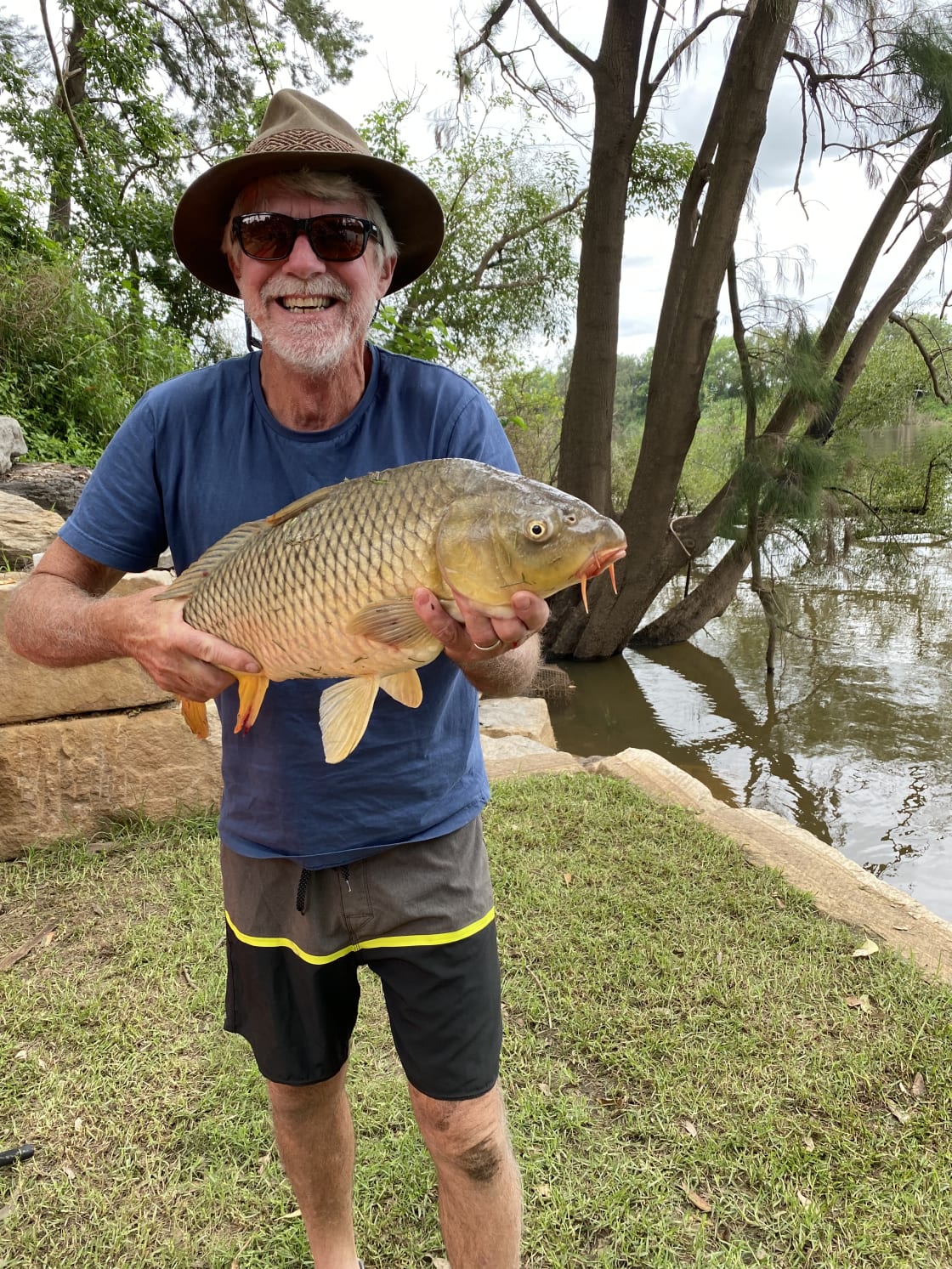 There’s some big carp on the Hawkesbury!