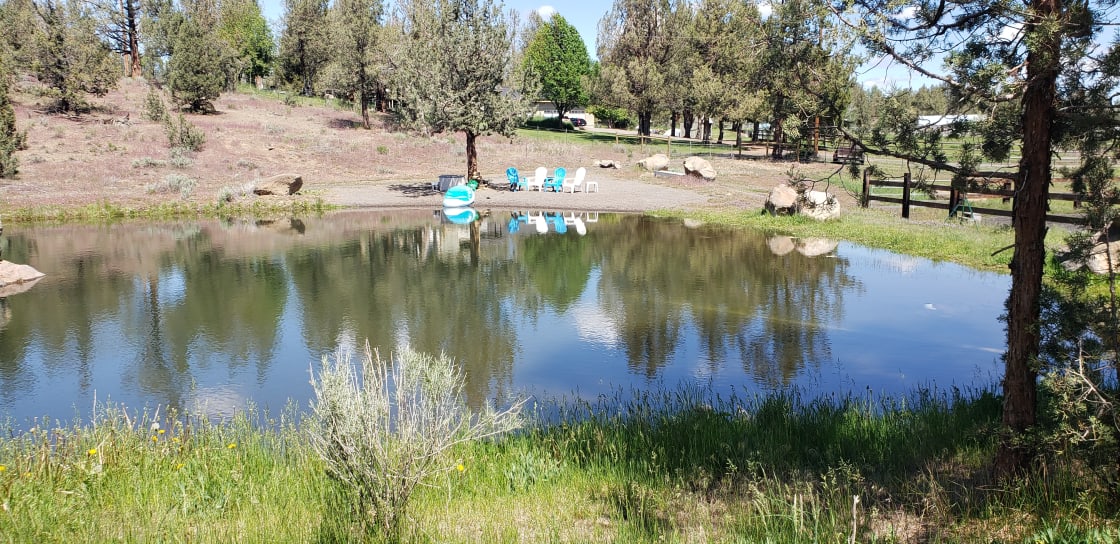 Swimming irrigation pond in the summer