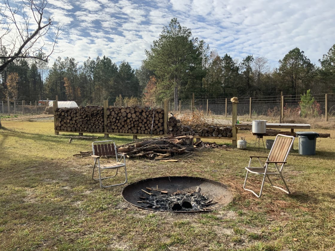 Free firewood at common fire pit 
