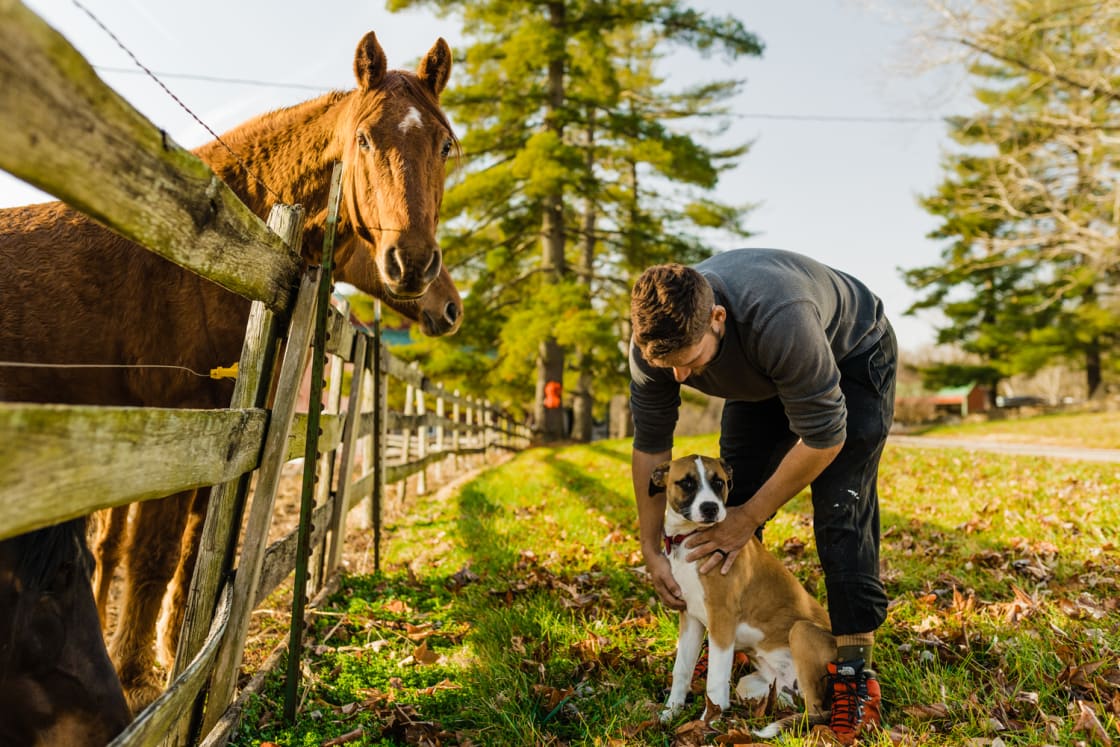 My husband petting the owners dog which greeted us when petting the horses.