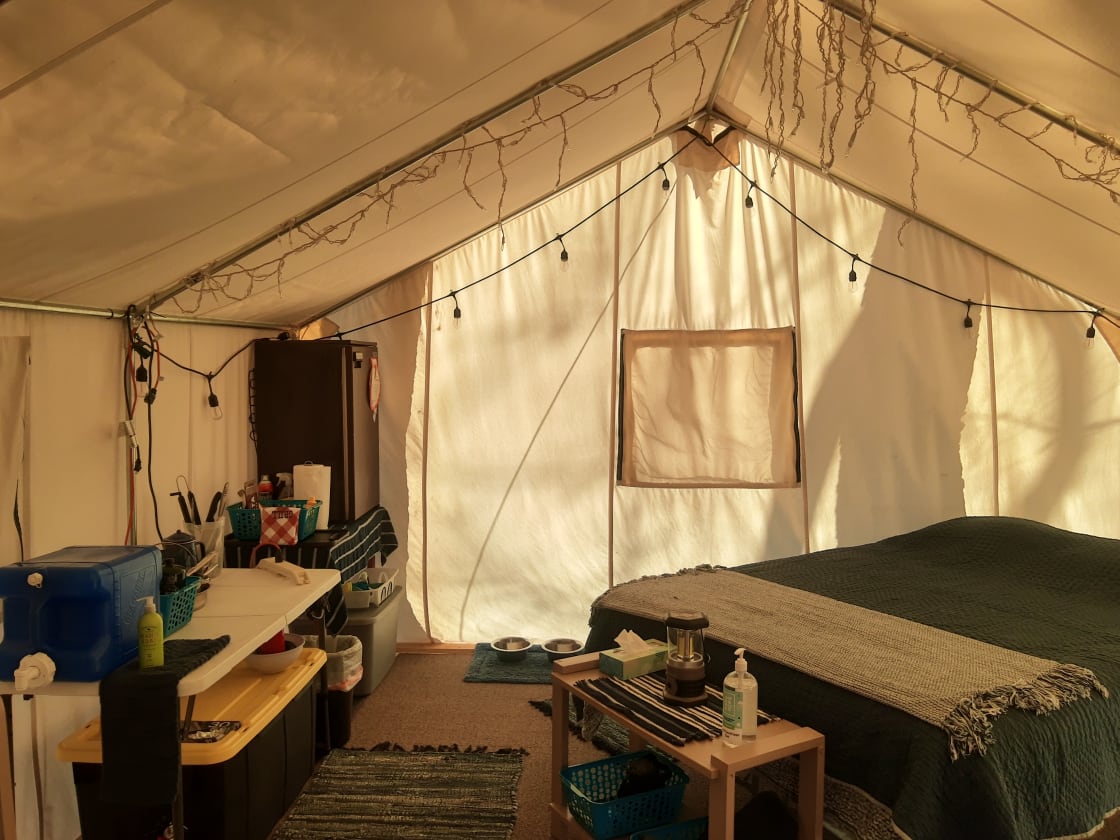 Inside 14x16 tent