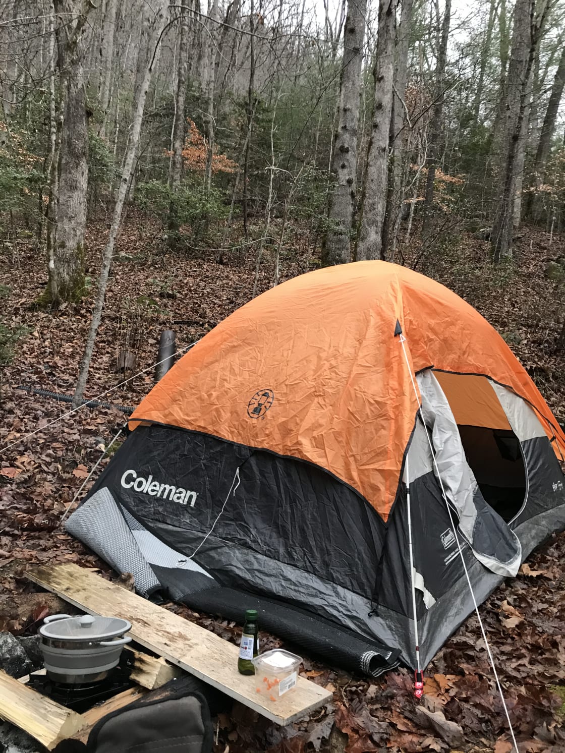 I chose the flattest and closest plot to the workshop to camp. Their was a firepit and stream. In winter, the neighbors were visible, but that did not bother me since it was a rainy night spent reading and listening to music in my cozy tent!

Hammock camping is the way to go on this property.