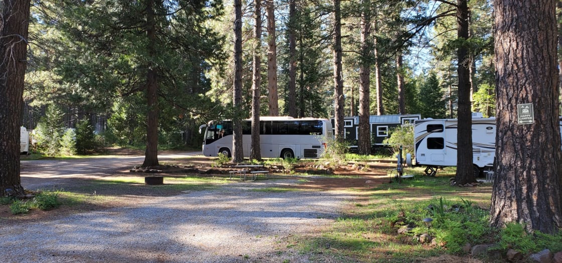 Peter's Forest Vacation Rentals