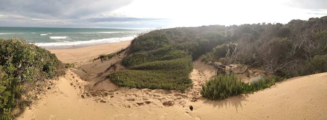 Paradise Beach Camping