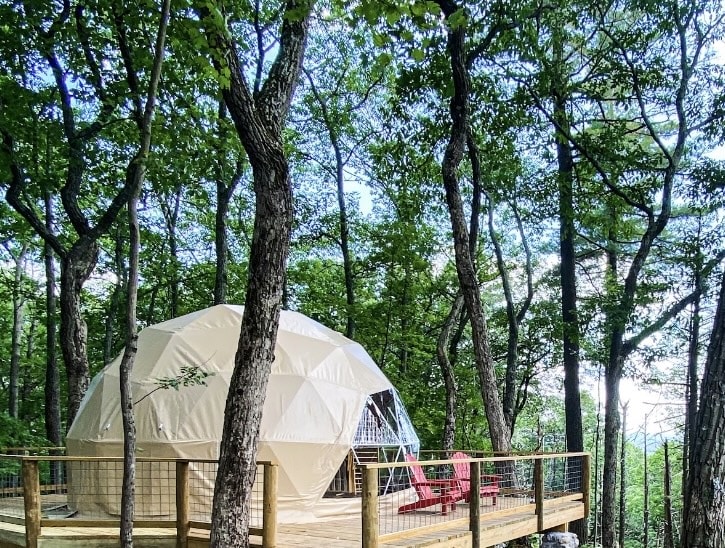 Geo-Dome nestled amongst the pines and overlooking the ravine