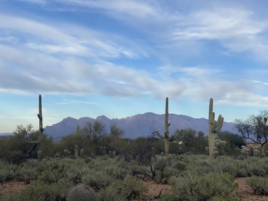 Sonoran Desert Retreat