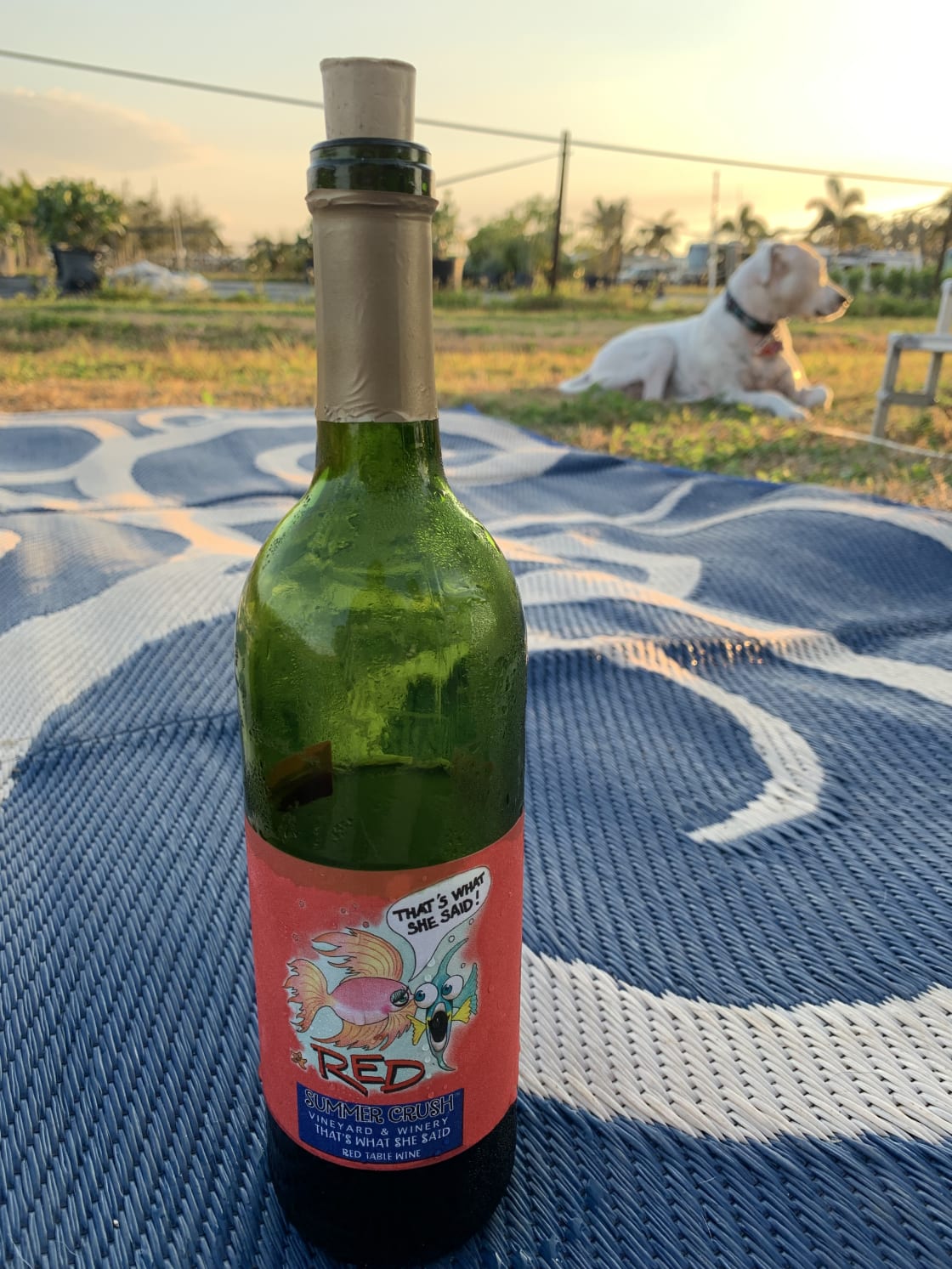 Summer Crush Winery
