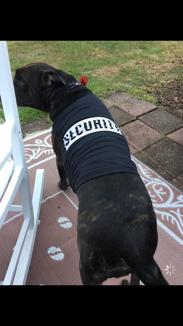 Our Security Gal, Sophie