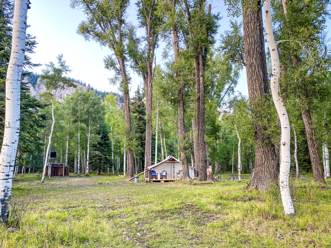 Our tentyard resides in a beautiful aspen grove on the northeast end of the ranch, just behind the Amenities Barn.