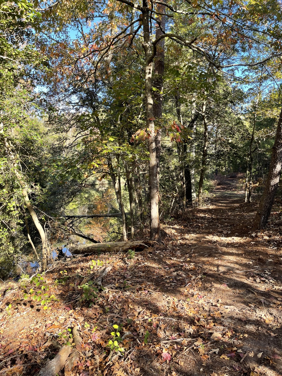 Natural path leads from this creekside campsite to the dock at the North end of the property,
