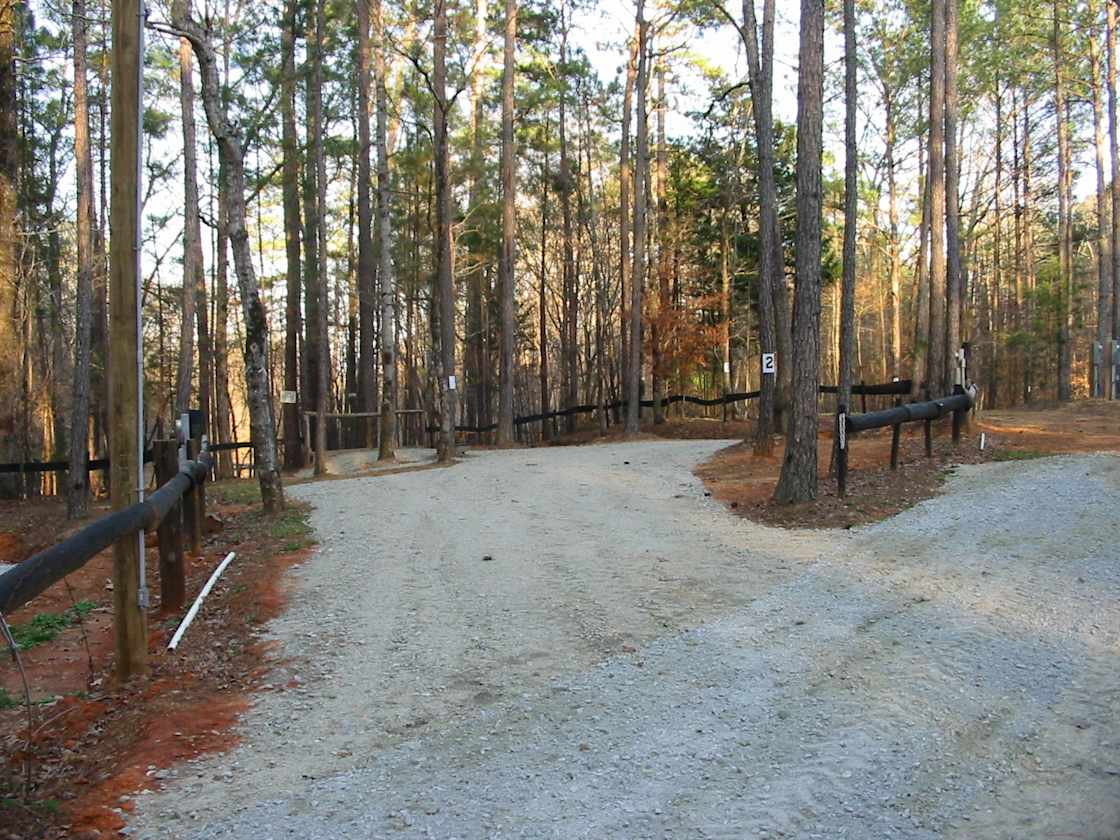 Site 2