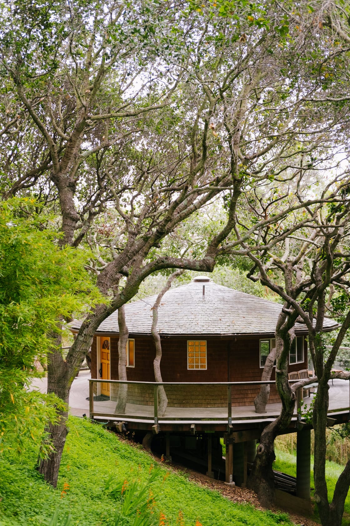 Bay View "Tree House"