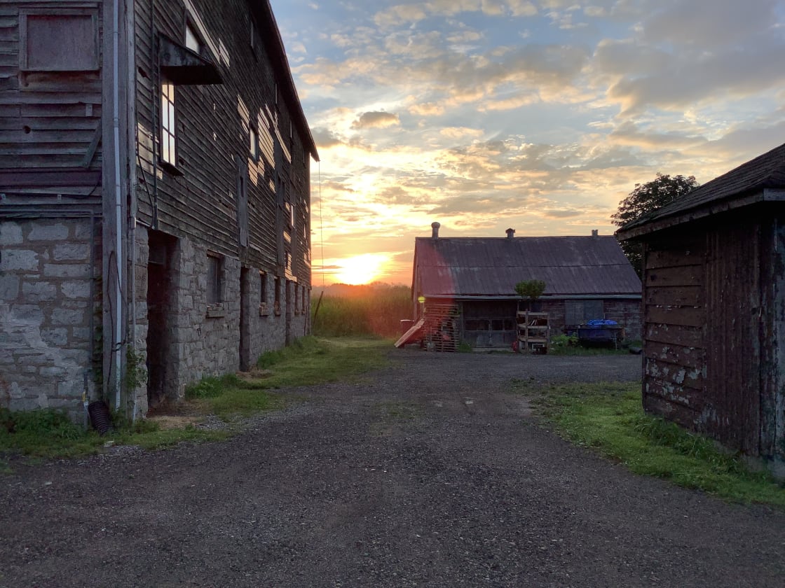 This could be your sunrise.  Wake up beside a 100 year old barn that boasts two twin tiled  silos…possibly the only remaining in Ontario