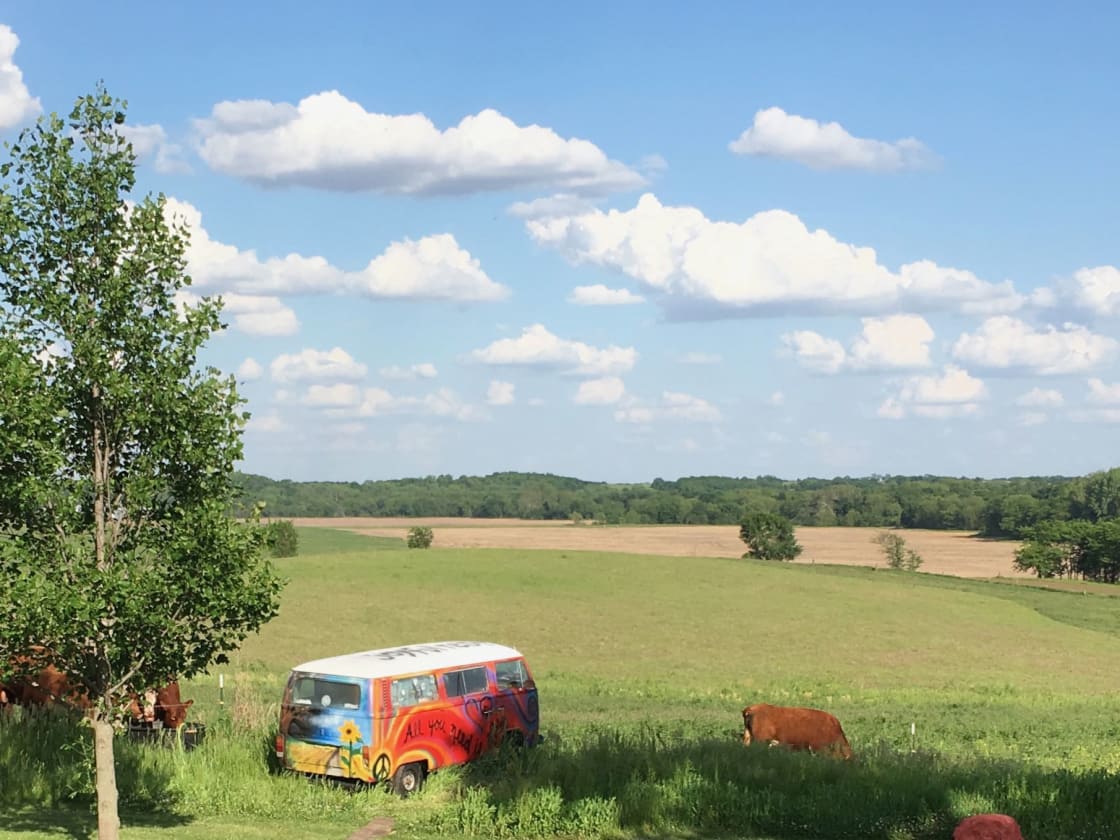 Hippie Van and view