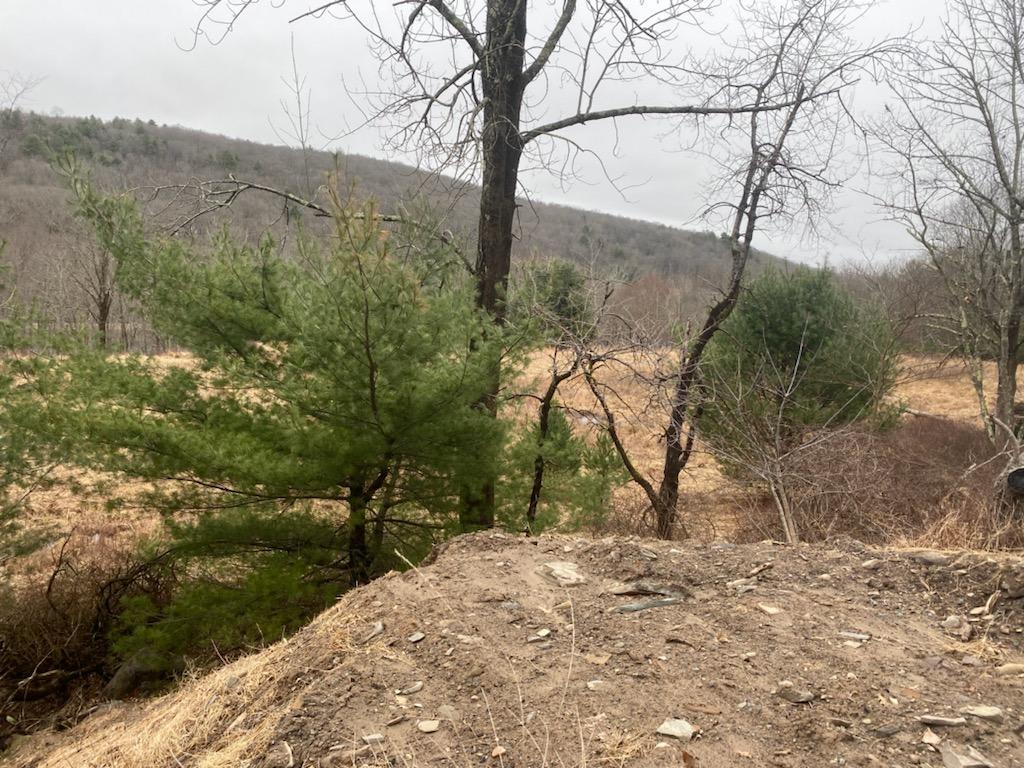 Pitch your tent in Lackawaxen. RVOK