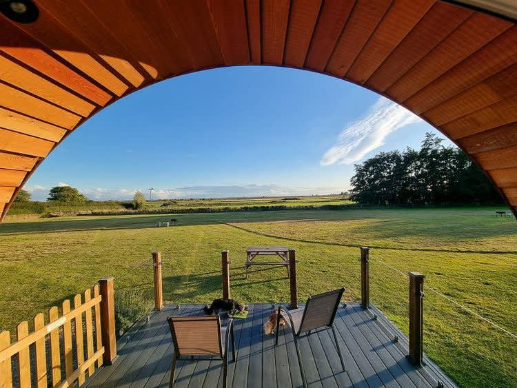 Millview Meadow Glamping