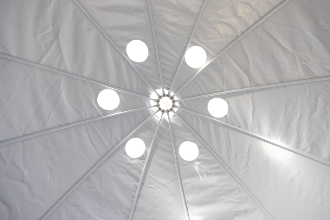 Looking up at the skylights inside the cocoon.