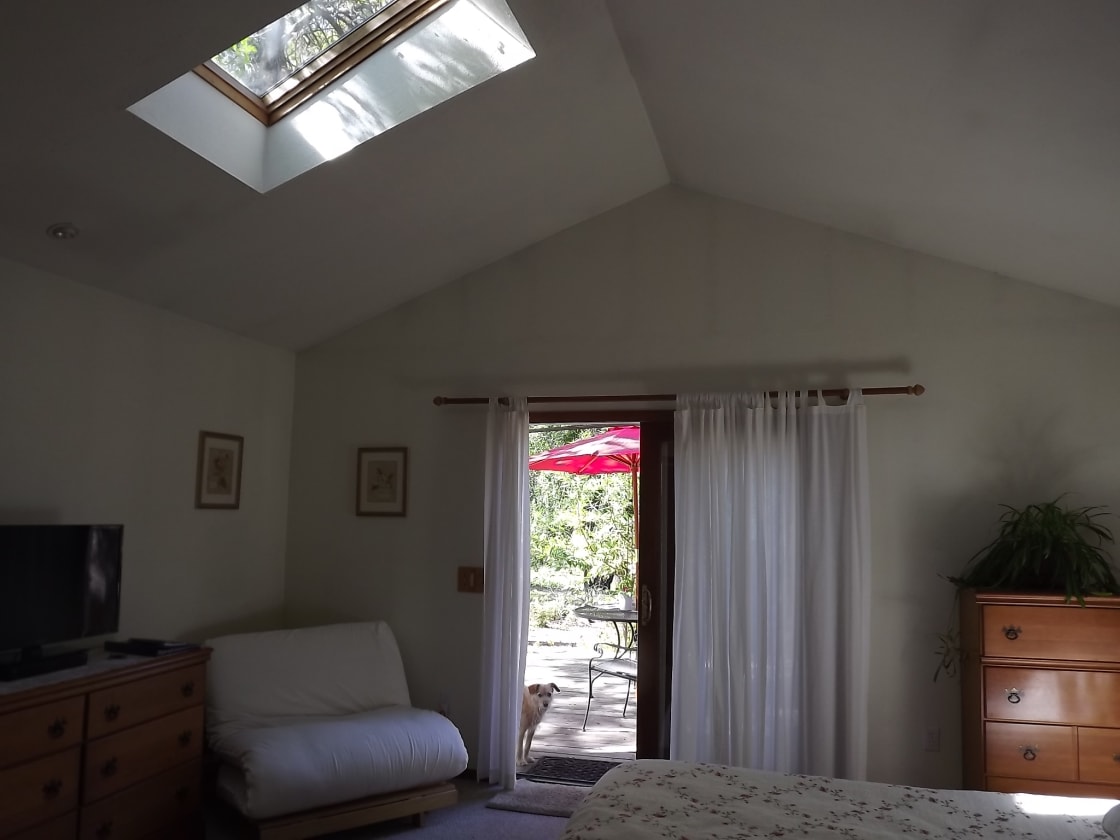 skylight over the king bed