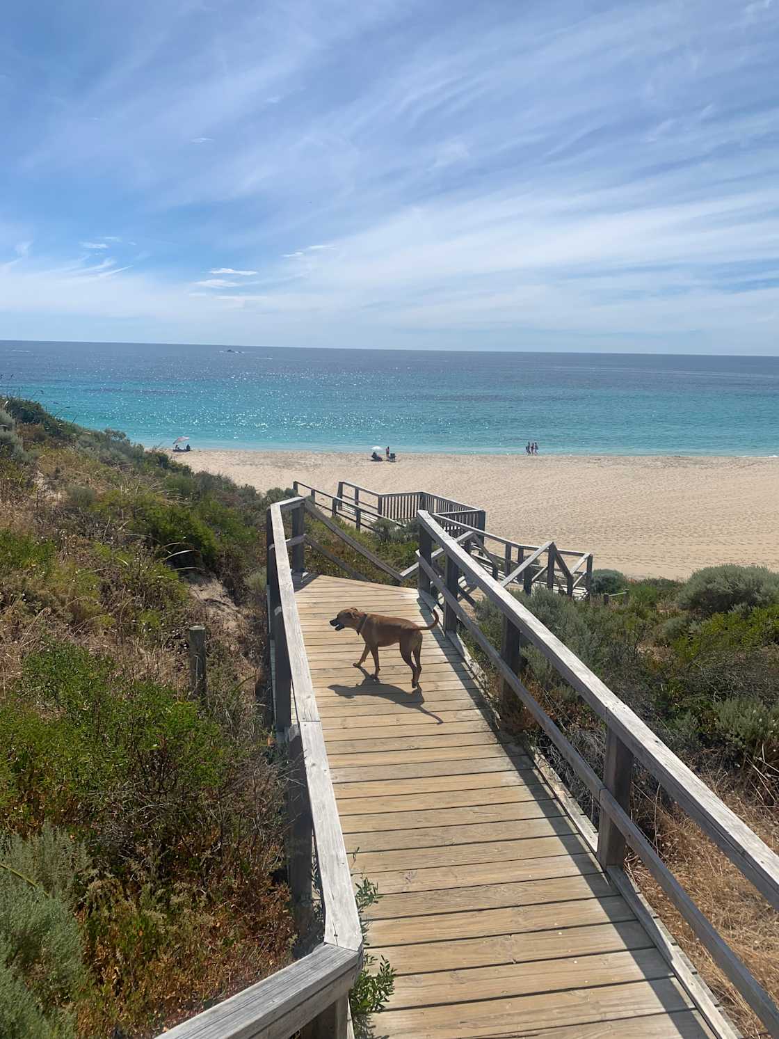 Smiths Beach is dog-friendly and nearby.