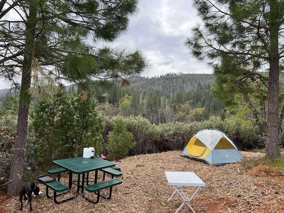 Yosemite's Colfax Spring