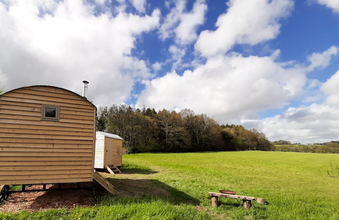 Bramble Meadow shepherd's hut in our peaceful 2 acre Devon meadow.