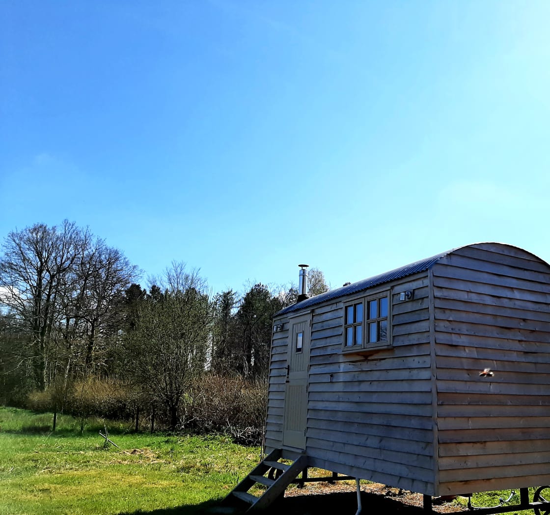 Bramble Meadow shepherd's hut in south Devon.