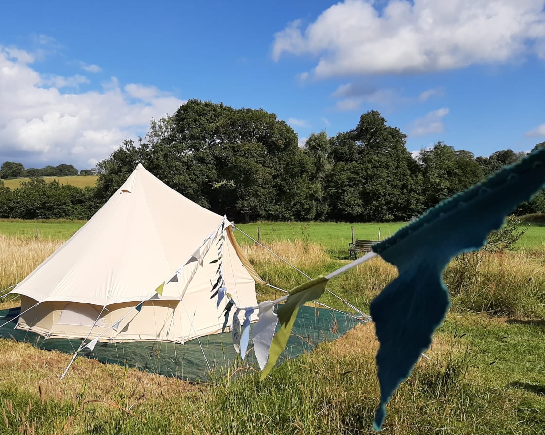 Bramble Meadow Camping