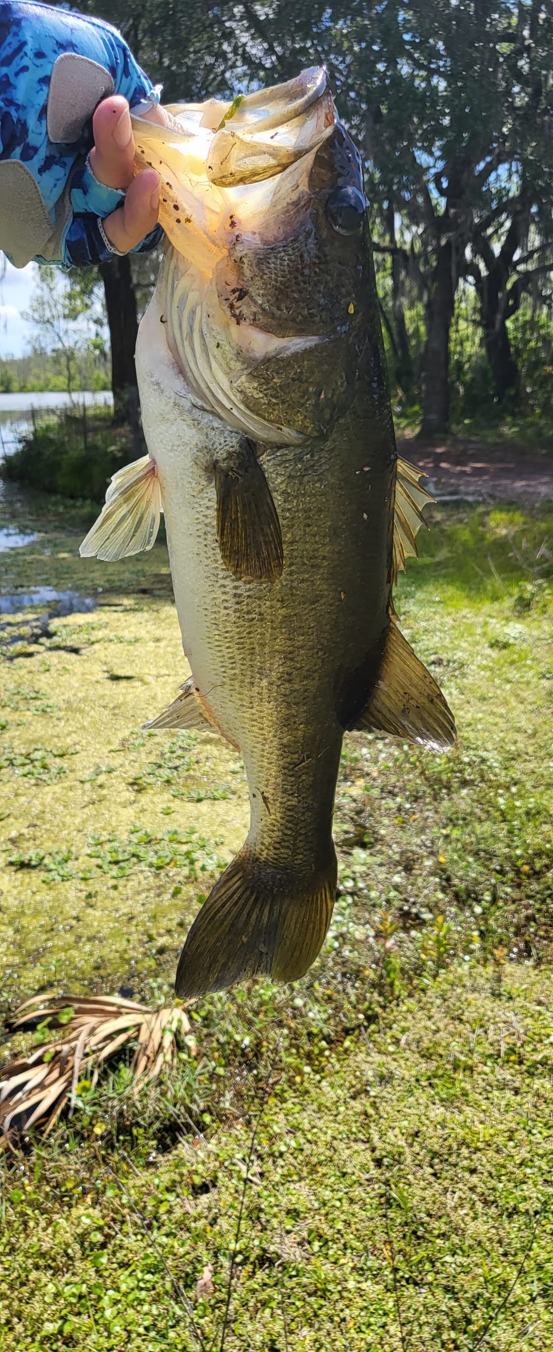 Great bass fishing! 