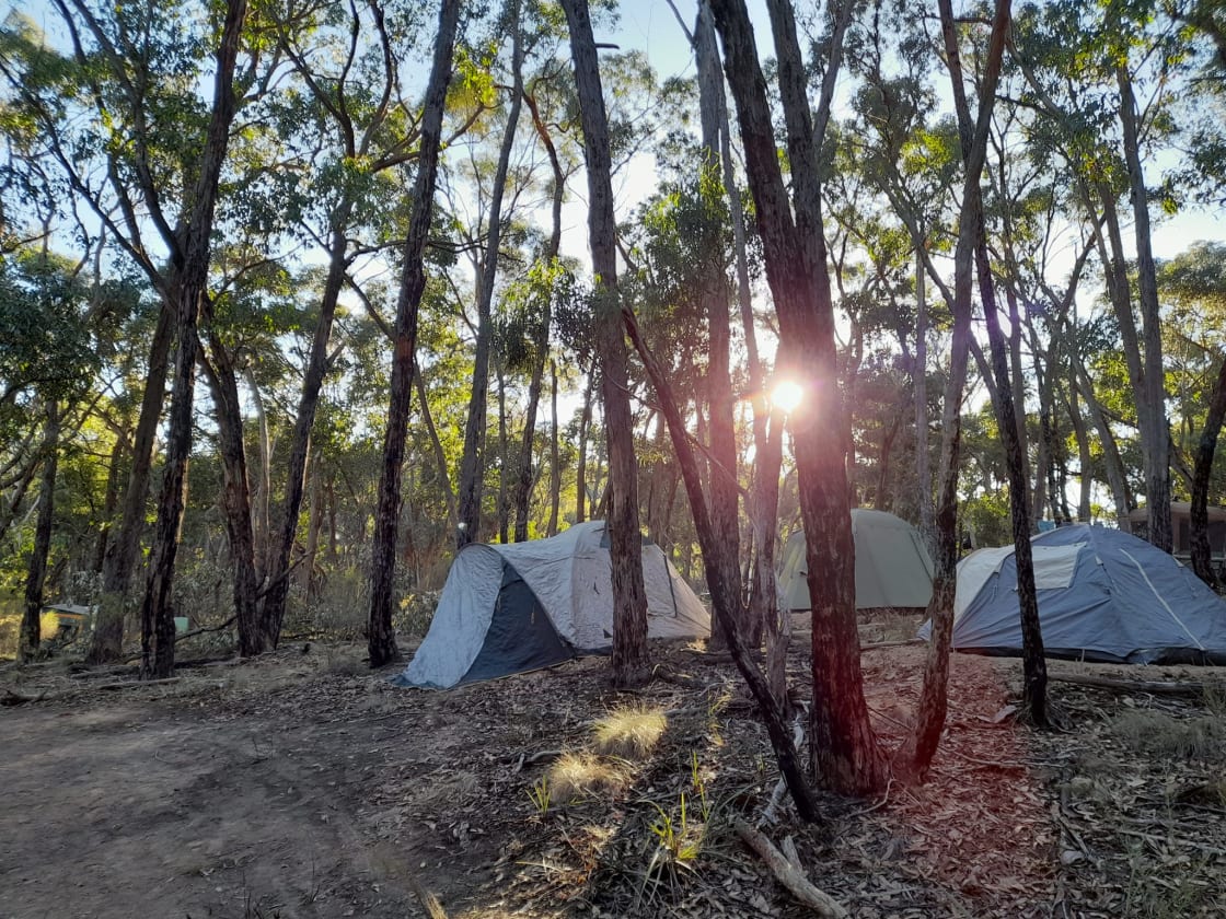 Bush Bliss - camp near friends or pick your own piece of heaven
