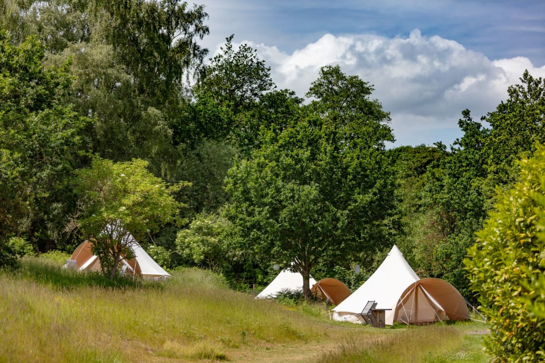 Chilled Out Adult Only Glamping