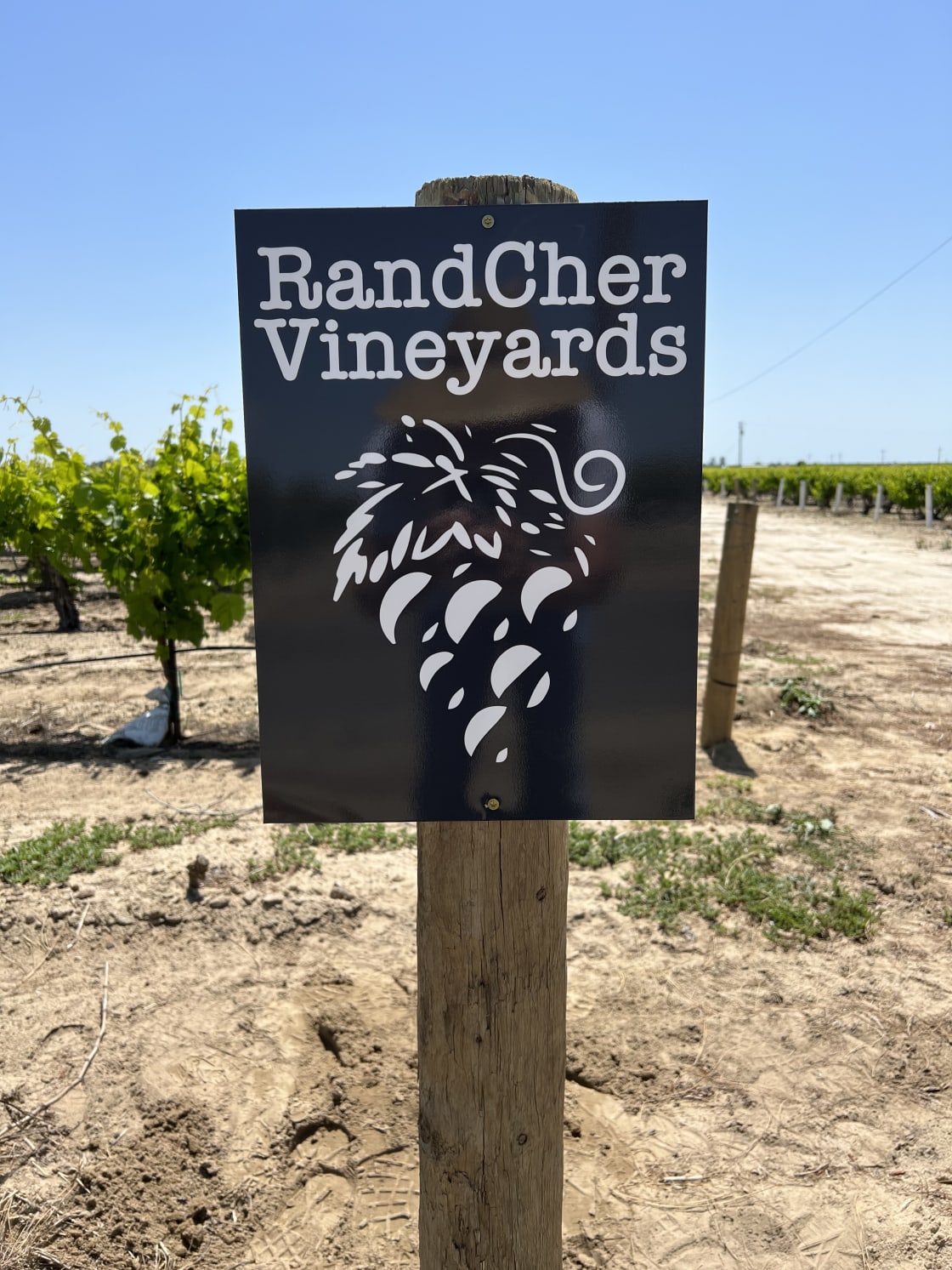 RandCher Vineyards 