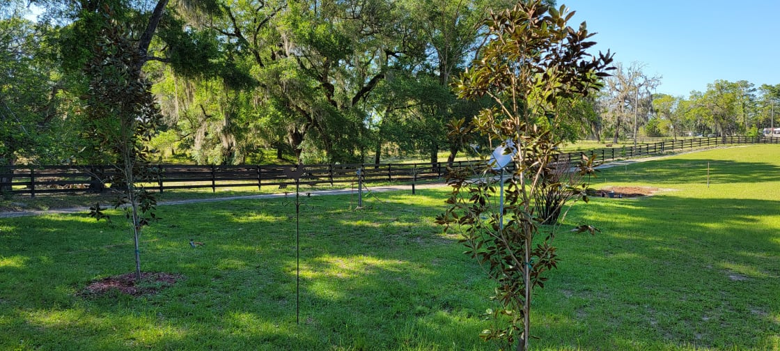 Grazing Oaks Ranch RV and Horse Stables