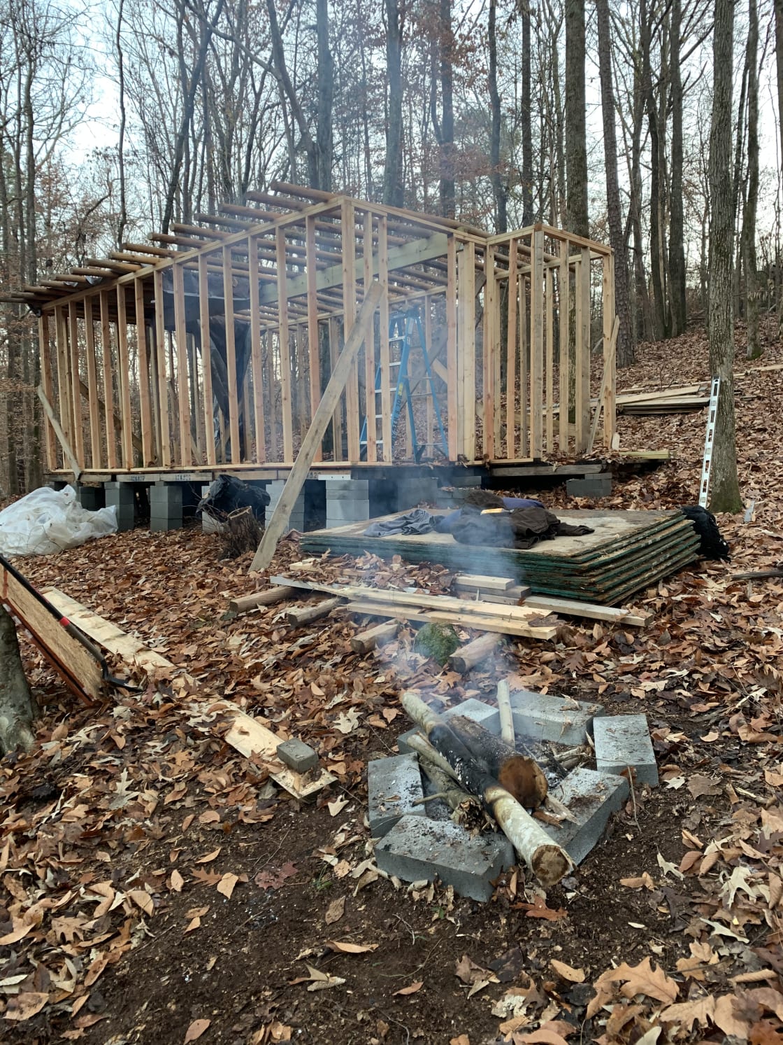 Tiny House/Shack early construction and small fire pit halfway down the property